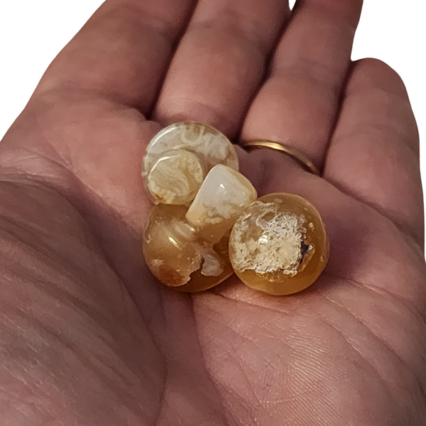 Flower Agate Mushroom