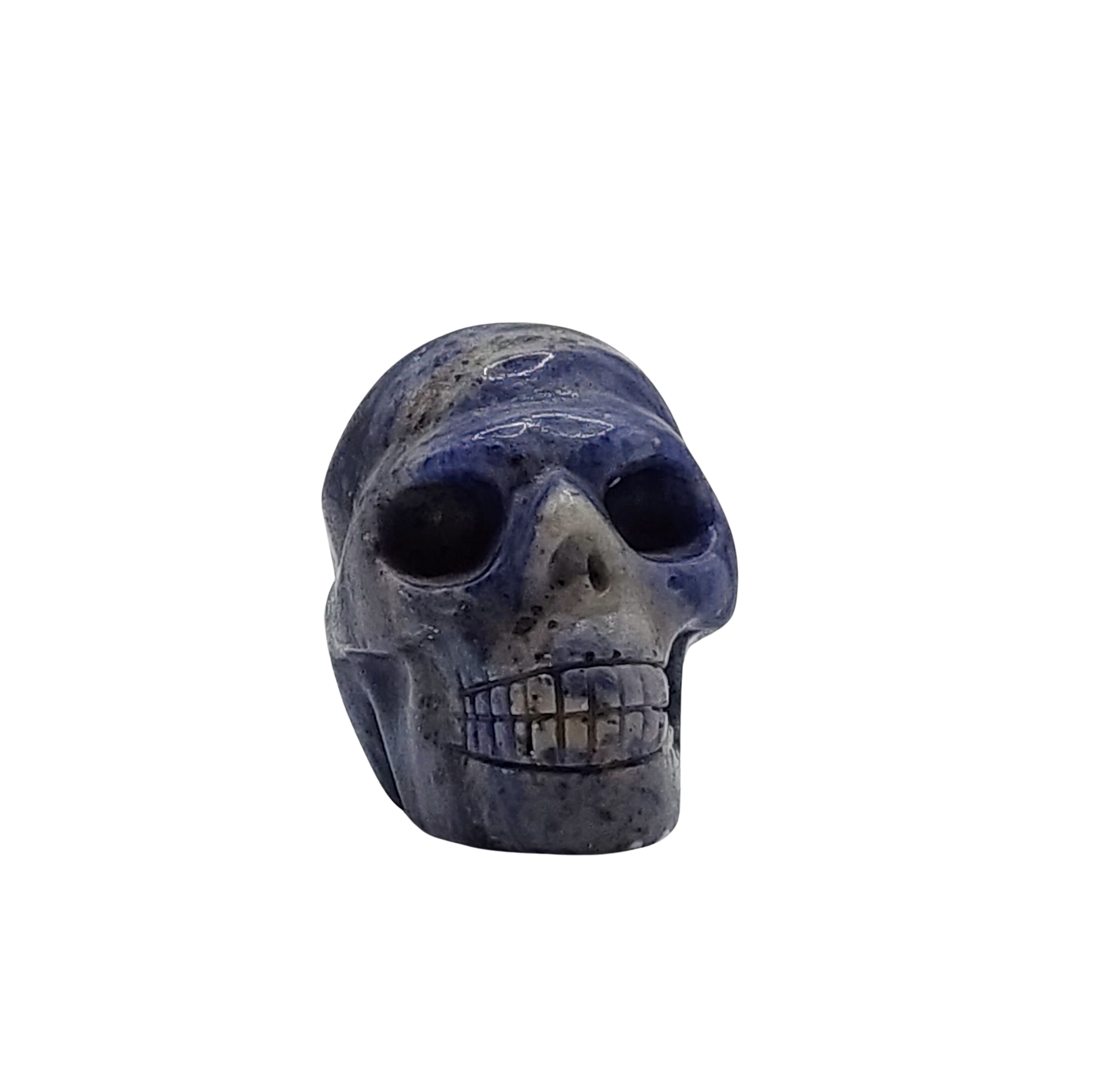 Sodalite Skull