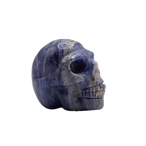 Sodalite Skull
