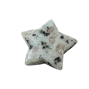 Kiwi Jasper Star