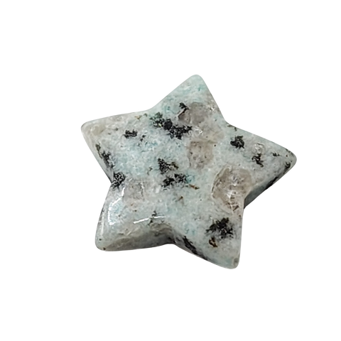 Kiwi Jasper Star