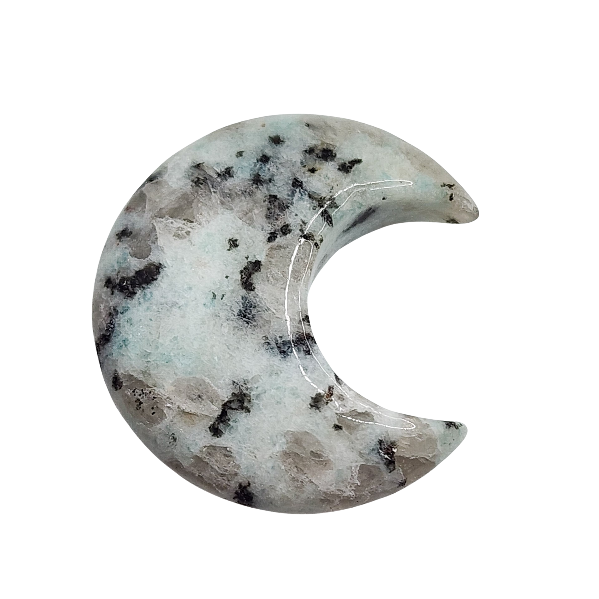 Kiwi Jasper Moon