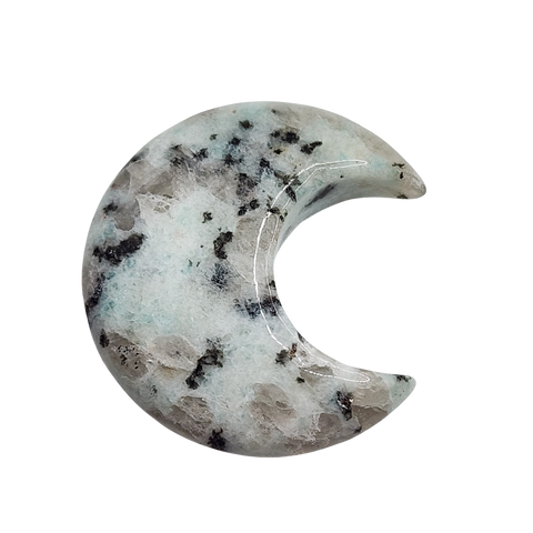 Kiwi Jasper Moon