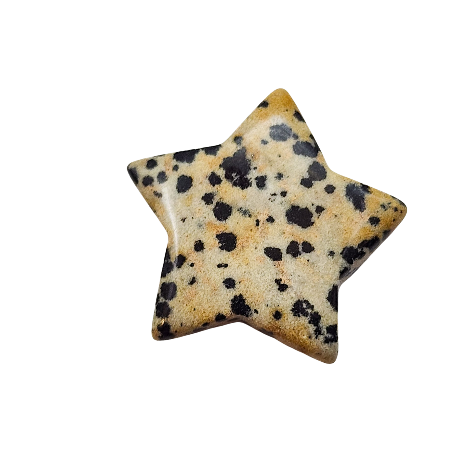 Dalmatian Jasper Star