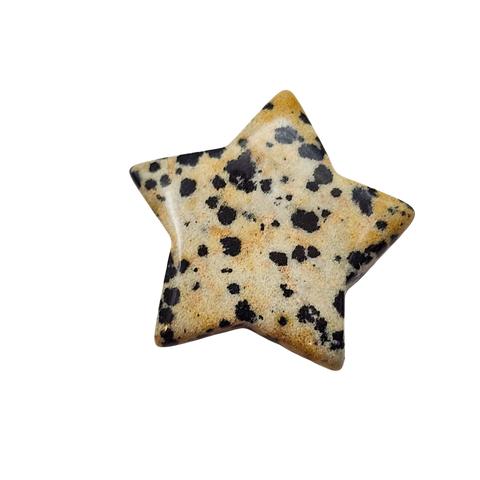 Dalmatian Jasper Star