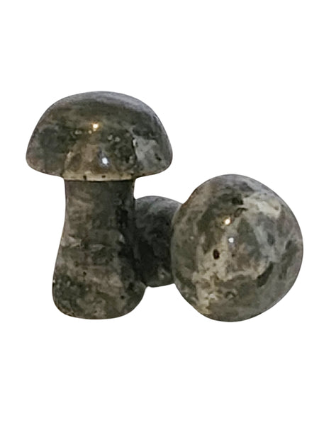 Larvikite Mushroom