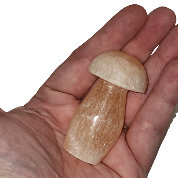 Peach Selenite Mushroom
