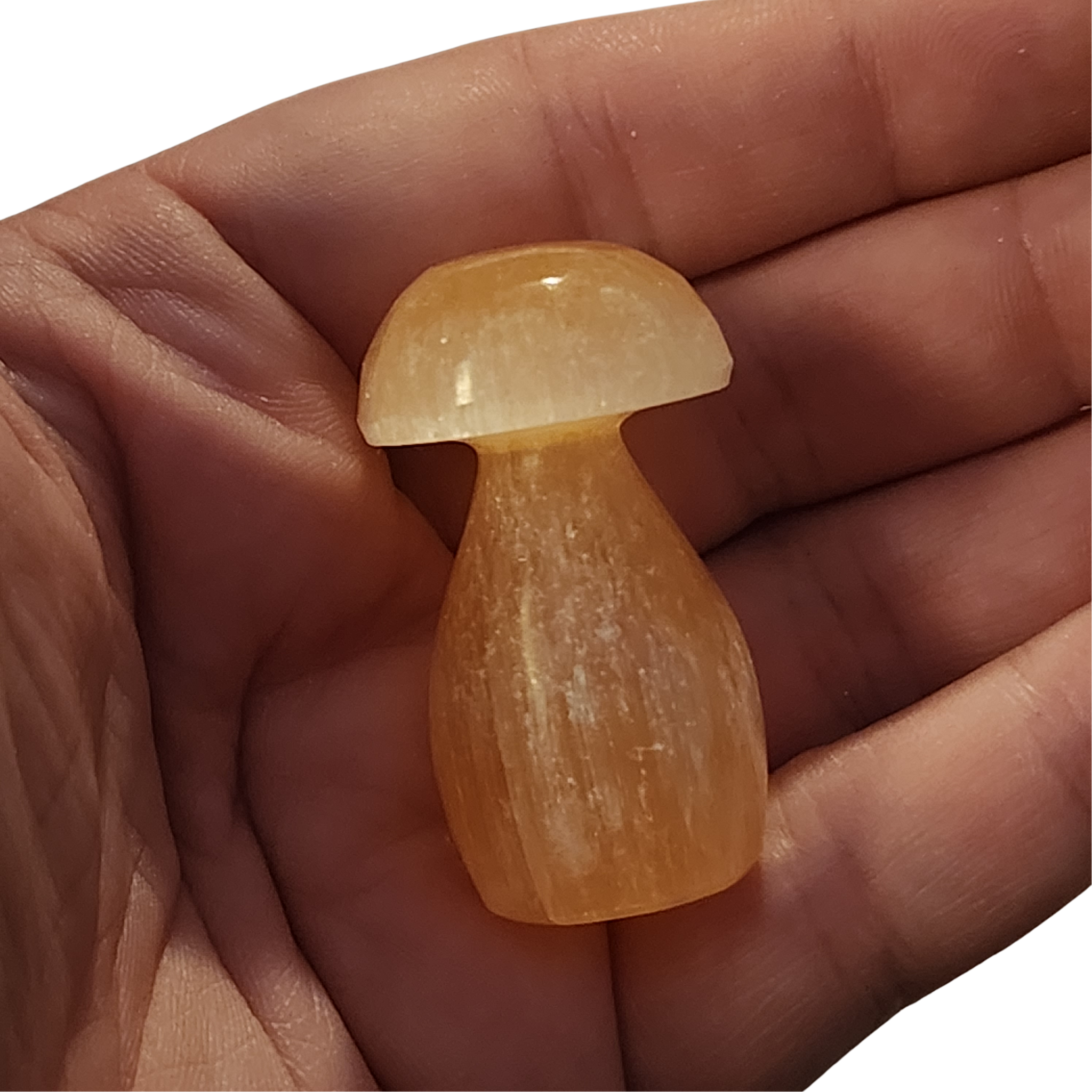 Peach Selenite Mushroom