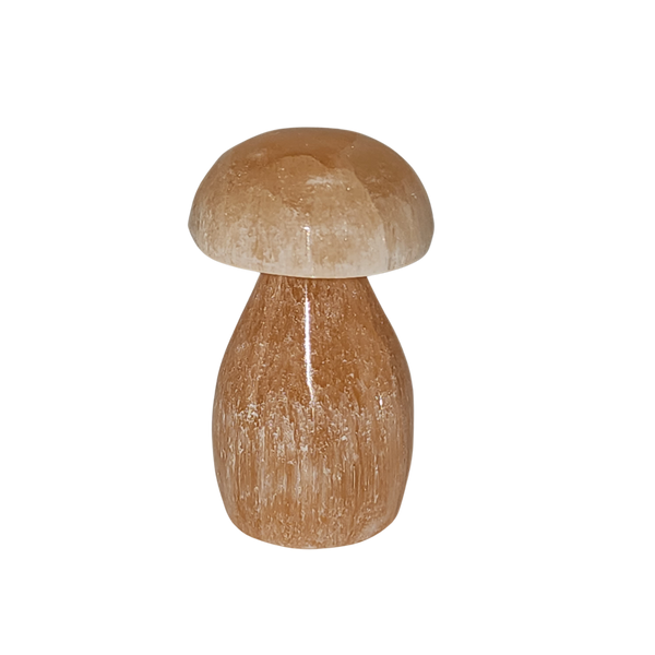 Peach Selenite Mushroom