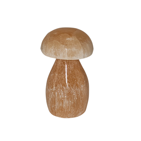Peach Selenite Mushroom