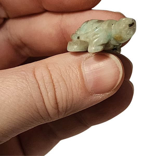 Kiwi Jasper Turtle