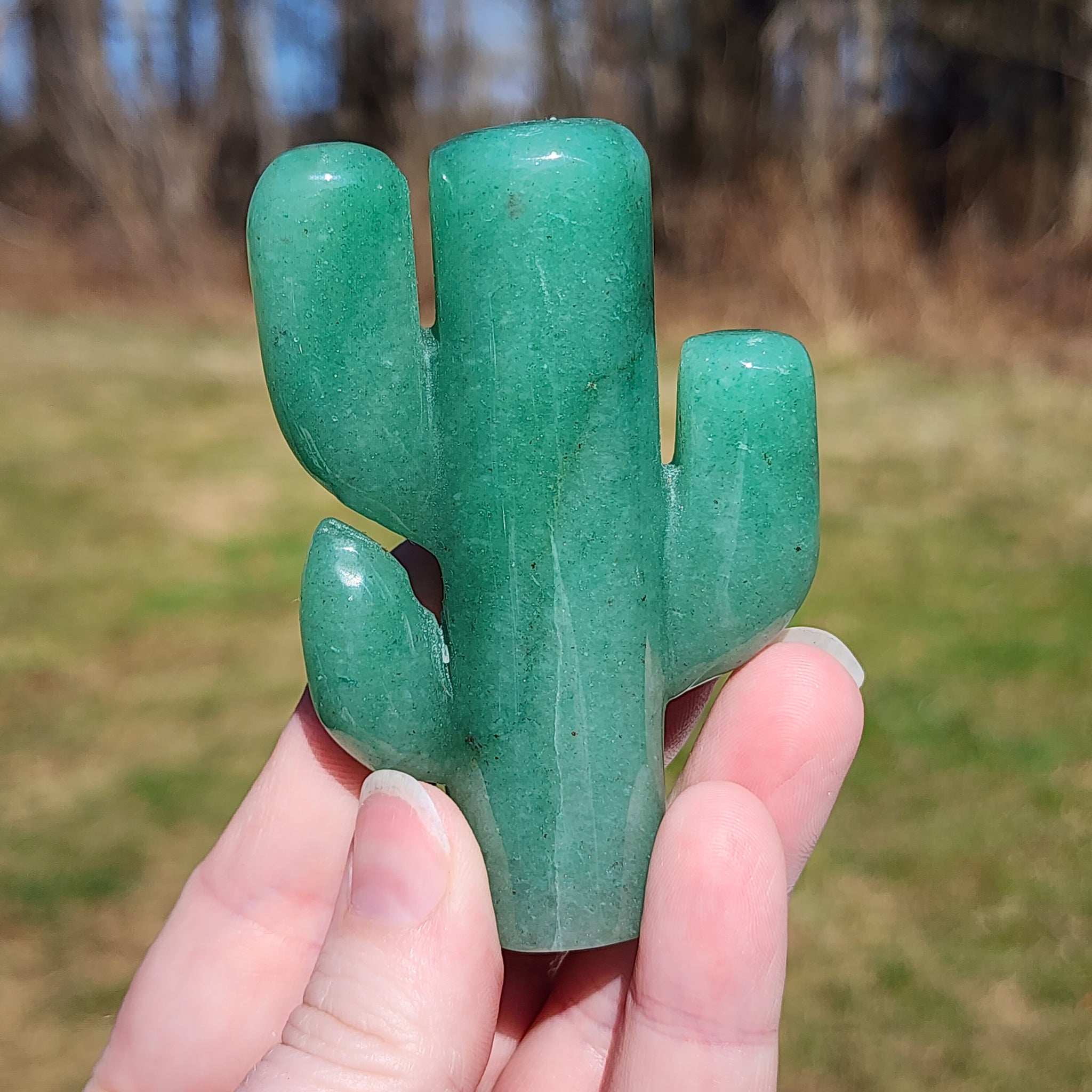 Green Aventurine Cactus