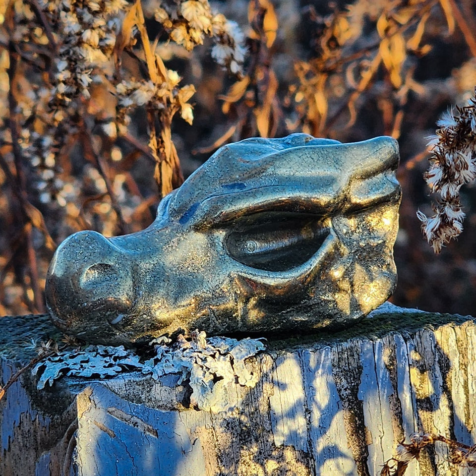 Pyrite Dragon Head