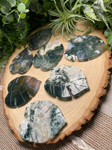 Moss Agate Monstera Leaf